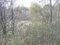 Участок - Новорижское шоссе-120 км. Земля под поместье. Участок 75 соток. - Изображение #2, Объявление #178744