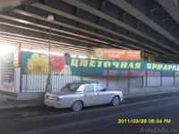 Цветочный центр в Лужниках сдаёт павильоны от 15 м2 под цветы. - Изображение #1, Объявление #228287