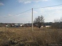 Продам 15 соток в д Барсуки - Изображение #4, Объявление #571982
