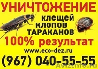Уничтожение клещей./ - Изображение #1, Объявление #920643