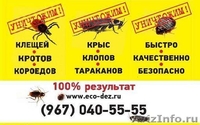 Уничтожение клещей - Изображение #5, Объявление #914843