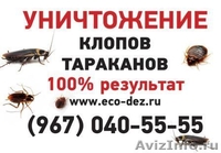 Уничтожение клопов... - Изображение #1, Объявление #934834