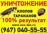 Уничтожение клопов... - Изображение #2, Объявление #934834
