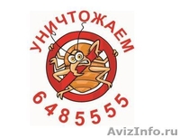 Уничтожение клопов ; - Изображение #1, Объявление #929110