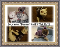 Мягкие коготки - антицарапки для кошек и собак   - Изображение #3, Объявление #996061