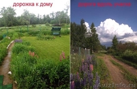 Продается дача. Курсаково, Волоколамское шоссе - Изображение #5, Объявление #1048900