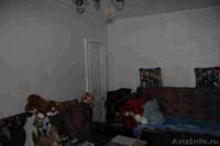 Продаётся 2х ком. кв. в г. Сергиев Посад МО - Изображение #5, Объявление #1112579
