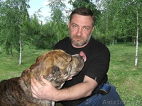 Правовое заключения о деятельности религиозных объединений  - Изображение #3, Объявление #1354974