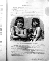Раритет,  книга профессора Ранке 1902 года. - Изображение #8, Объявление #986300