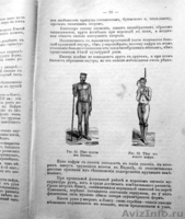 Раритет,  книга профессора Ранке 1902 года. - Изображение #9, Объявление #986300