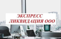 Ликвидация фирм/ банкротство работаем без предоплаты - Изображение #3, Объявление #1694373