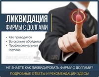 Ликвидация фирм/ банкротство работаем без предоплаты - Изображение #7, Объявление #1694373