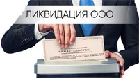 Ликвидация фирм/ банкротство работаем без предоплаты - Изображение #8, Объявление #1694373