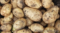 Оптом продаем бакалейную продукцию - Изображение #3, Объявление #1562522