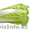 Салат из Испании - Изображение #1, Объявление #1328896