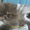 Персидских и экзотических котят - Изображение #1, Объявление #5784