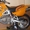 Мотоцикл эндуро Hyosung XRX 125 - Изображение #1, Объявление #52964