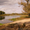 Отдых в природном Хоперском заповеднике  - Изображение #1, Объявление #60901