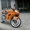 мотоциклы новые SBMotors - Изображение #4, Объявление #113645