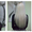 Наращивание волос от 6000р. Качественно. Недорого. С гарантией - Изображение #3, Объявление #161726