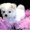 милый Мальтийский щенок для продажи - Изображение #2, Объявление #180858