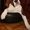 Клубные щенки американского бульдога - Изображение #3, Объявление #201959