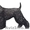 Стрижка декоративных и крупных пород собак. Стрижка кошек - Изображение #7, Объявление #128853