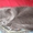 Шотландский вислоухий кот приглашает на вязку - Изображение #1, Объявление #189589