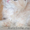 Шотландские вислоухие, британские, хайленд котята  - Изображение #8, Объявление #228357