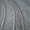 Продаю белый рельефный ковер "Шагги" - Изображение #3, Объявление #263083