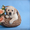 Продаются перспективные щенки лабрадора- ретривера - Изображение #3, Объявление #260629