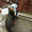 Мотоцикл Yamaha XJR 1200 и Honda vf 1000 f - Изображение #2, Объявление #258850