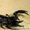 чёрный скорпион (императорский, королевский)
