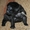 мопса щенков с родословной от титулованных родителей - Изображение #4, Объявление #300252