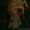 Продам кота породы Девон-рэкс редкого окраса - Изображение #4, Объявление #329986