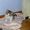 Подарю миленьких котят  - Изображение #3, Объявление #368182