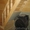 35км Новорязанское ш,зимняя дача с удобствами,сантехника.печка - Изображение #6, Объявление #359293