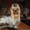 Клубные,очаровательные щенки йоркширского терьера - Изображение #2, Объявление #365835
