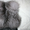 Меховой жилет из чернобурки - Изображение #2, Объявление #393195