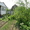 загородный дом с участком в экологичном районе подмосковья - Изображение #1, Объявление #376177