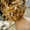 Свадебные прически,косы, плетения,стилист-визажист - Изображение #2, Объявление #384812