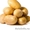 Предлагаем картофель из Беларуси . #422493