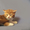 Чистокровные британские котята окраса циннамон - Изображение #2, Объявление #409480