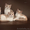 Чистокровные британские котята окраса циннамон #409480