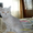 Продам  шотландских котят - Изображение #1, Объявление #399474