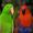 крупные попугаи - Изображение #2, Объявление #427505