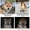 Продаются щенки японской породы Сиба-Ину (шиба) от родителей Чемпионов #452134