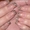 Наращивание ногтей, маникюр, биогель, педикюр в Одинцово - Изображение #5, Объявление #172613