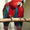 крупные попугаи - Изображение #4, Объявление #427505