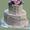 Торты на заказ - Magic cake #466570